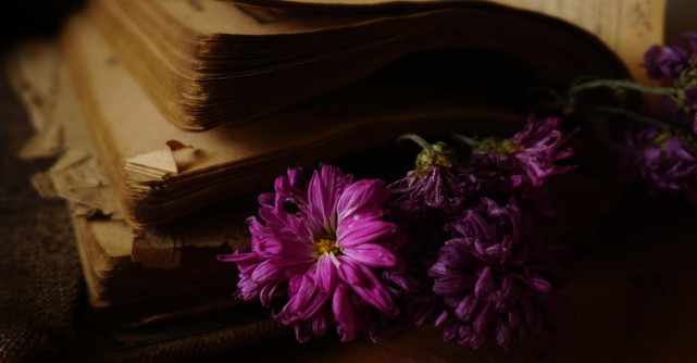 30+ Poezii și versuri de dragoste pe care merită să le citești