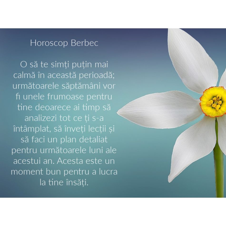 Soarele intră în zodia Taur pentru un nou început. Renunțăm la vechi și înflorim precum primăvara