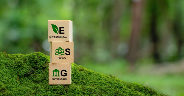 Ce sunt raportările ESG și de ce devin obligatorii pentru companii 