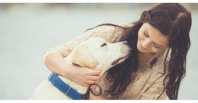 Cum a reusit un caine sa imi salveze viata?