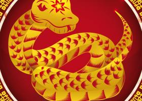 2022, Anul Tigrului de Apa: Horoscop chinezesc pentru zodia Sarpe