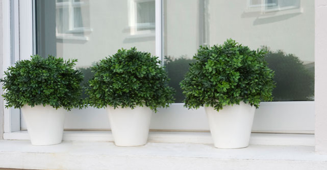 Cum sa cureti ferestrele: sfaturi pentru niste geamuri impecabile