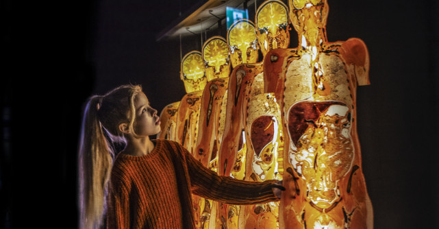 Expoziția Originală BODY WORLDS anunță prima sa prezentare în București, România