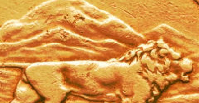 Lectia de adevar despre partener: Barbatii zodiilor si cele 4 tipuri temperamentale