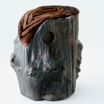 Inspirat din natura: mobilier din blana