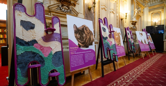 Miaunismul: un nou curent în artă inspirat de creativitatea pisicilor