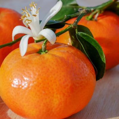 Ce fructe si legume trebuie sa mananci in februarie pentru a avea o sanatate de fier