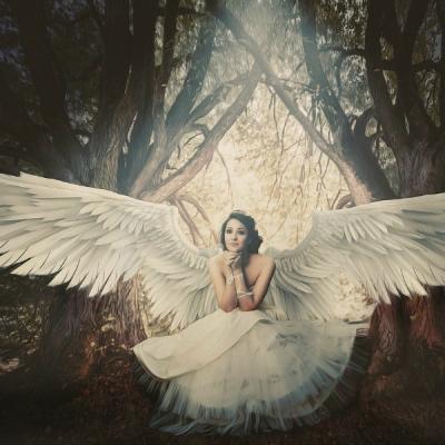 Horoscop: Ingerul lunii in care te-ai nascut  