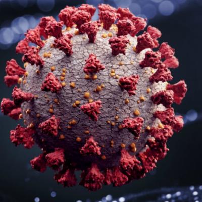 Discovery Channel transmite în premieră Covid-19: Pericol Mondial, un nou documentar special despre coronavirus 