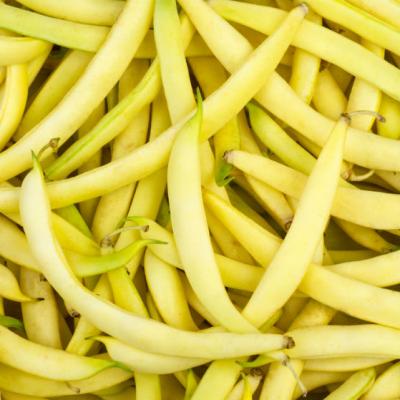 Miraculosul ceai din teci de fasole. Curata organismul de toxine