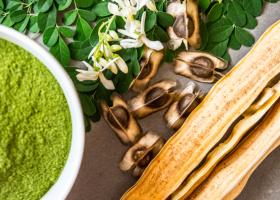 Moringa: o plantă premiată pentru beneficiile sale dovedite științific