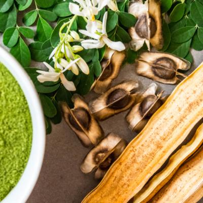 Moringa: o plantă premiată pentru beneficiile sale dovedite științific