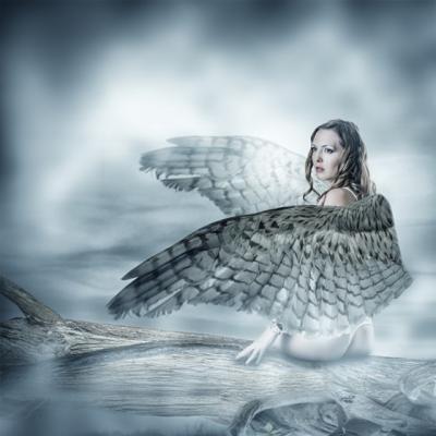 Horoscop: Zodiacul AMERICAN iti spune care este ANIMALUL SPECIFIC zodiei tale