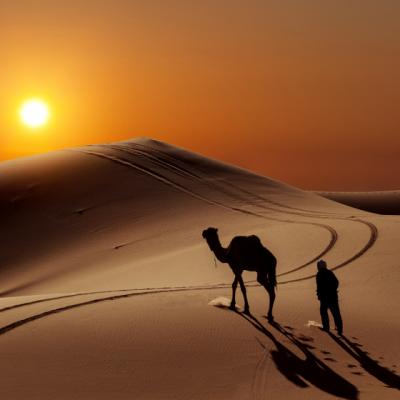 Desertul