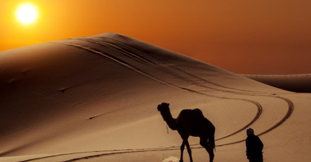 Desertul