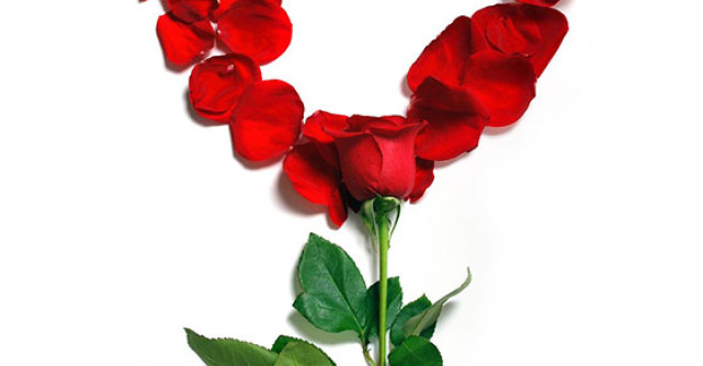 10 Idei de Cadouri BIO pentru 8 Martie