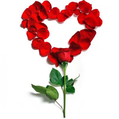 10 Idei de Cadouri BIO pentru 8 Martie