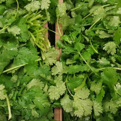 Dieta cu patrunjel. Cate kilograme puteti slabi intr-o singura saptamana