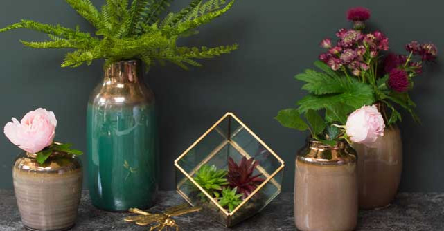 Cum sa realizezi un terariu