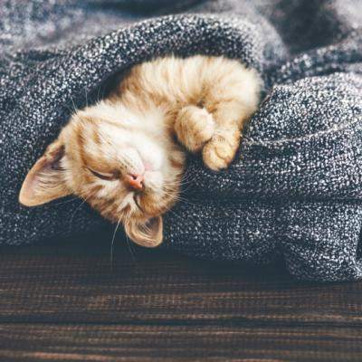 Cum sa ai un somn linistit? Alimentele pe care nu trebuie sa le mananci inainte de culcare