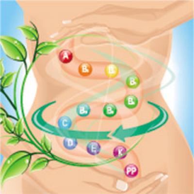 Plantele care sprijina digestia - cheia sa iti mentii silueta