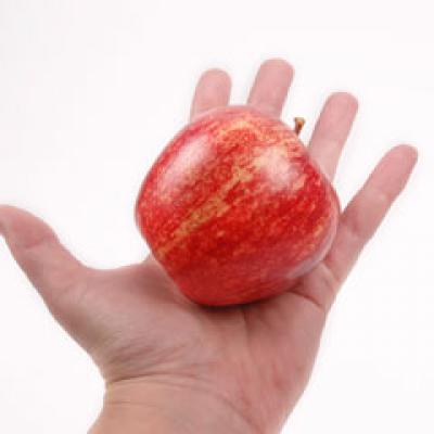 Detoxifiere in familie