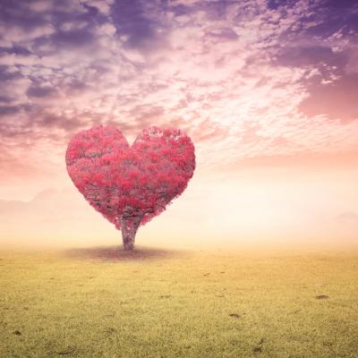 Flexibilitate și Actiune, cuvintele cheie pentru săptămâna  28 IANUARIE - 3 FEBRUARIE 2019