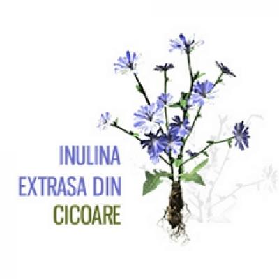 (P) O gustare pe zi tine kilogramele la distanta!