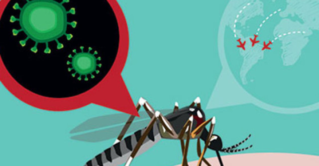 Tot ce trebuie sa stii despre tantarul Zika