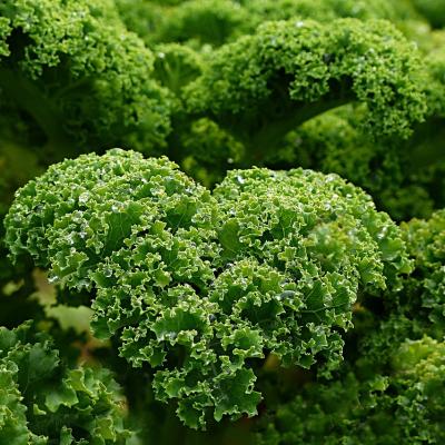 Un efect major al consumului de varza kale, conform unui nutritionist