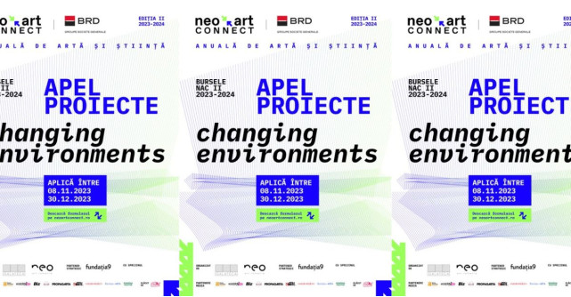 S-a lansat noul Apel de proiecte pentru Bursele NAC, Neo Art Connect - ediția a II-a, 2024