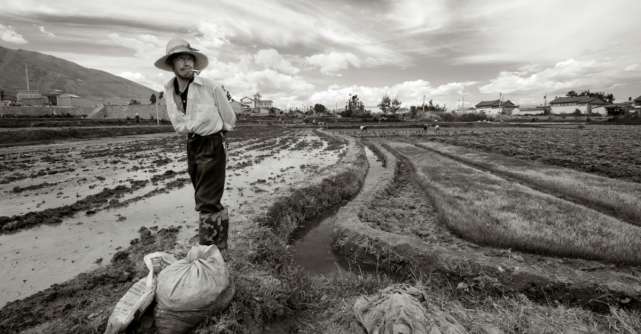 Alan Watts despre noroc și ghinion: Pilda fermierului chinez