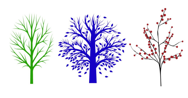 Alege un copac si afla ce ascunde sufletul tau