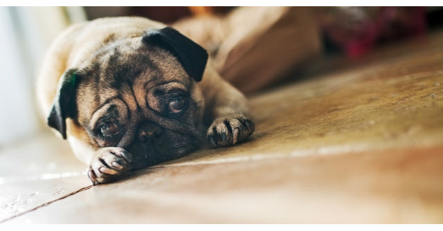 Motivul pentru care LUNI, 19 ianuarie 2015, va fi cea mai deprimanta zi a anului