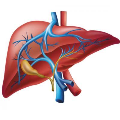 5 Suplimente naturiste pentru FICAT