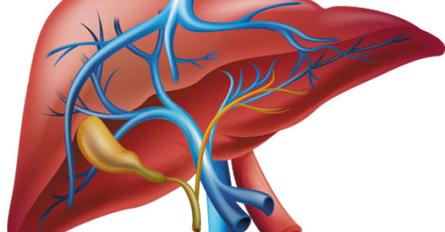 5 Suplimente naturiste pentru FICAT