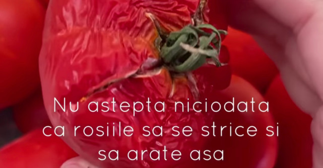Nu astepta niciodata ca rosiile sa se strice si sa arate asa