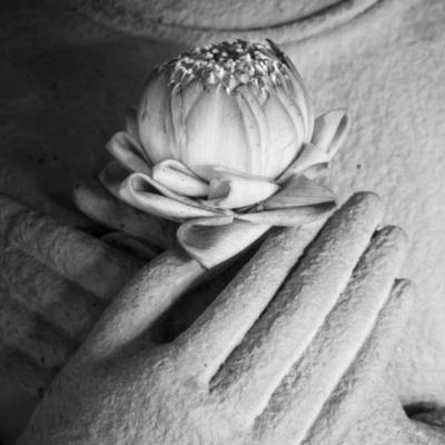 Cele mai puternice citate ale lui Buddha care vor schimba modul in care iti traiesti viata