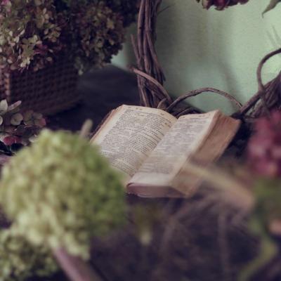 Top 10 carti bestseller in 2017: ce sa citesti