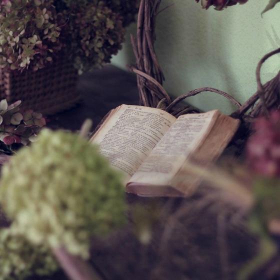 Top 10 carti bestseller in 2017: ce sa citesti