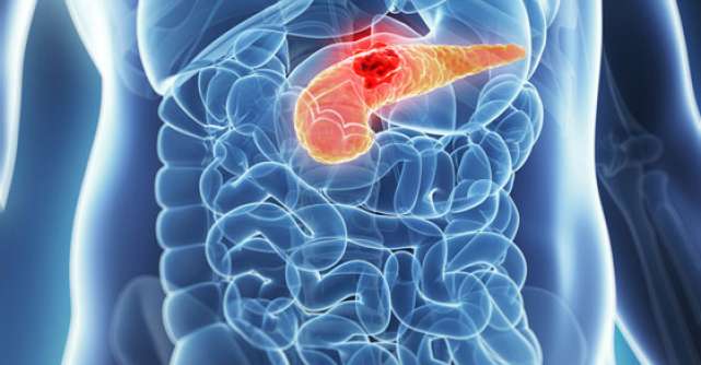 Pancreasul bioartificial ar putea schimba vietile diabeticilor
