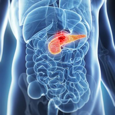 Pancreasul bioartificial ar putea schimba vietile diabeticilor