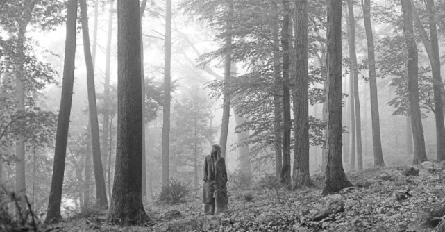 Taylor Swift lanseaza al optulea album: Folklore