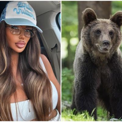 Soluții pentru a scăpa de atacurile urșilor: O inițiativă susținută de Bianca Drăgușanu