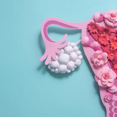 Tot ce trebuie să știi despre testul de ovulație