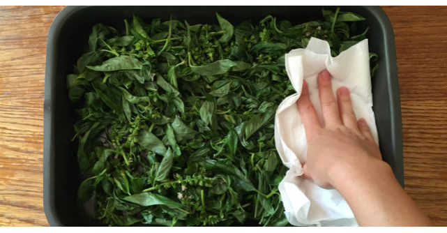 Pune busuiocul in tava de copt. Ce urmeaza? Trebuie sa incercati si voi