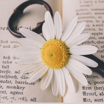 500+ Proverbe și zicale românești din înțelepciunea strămoșilor 