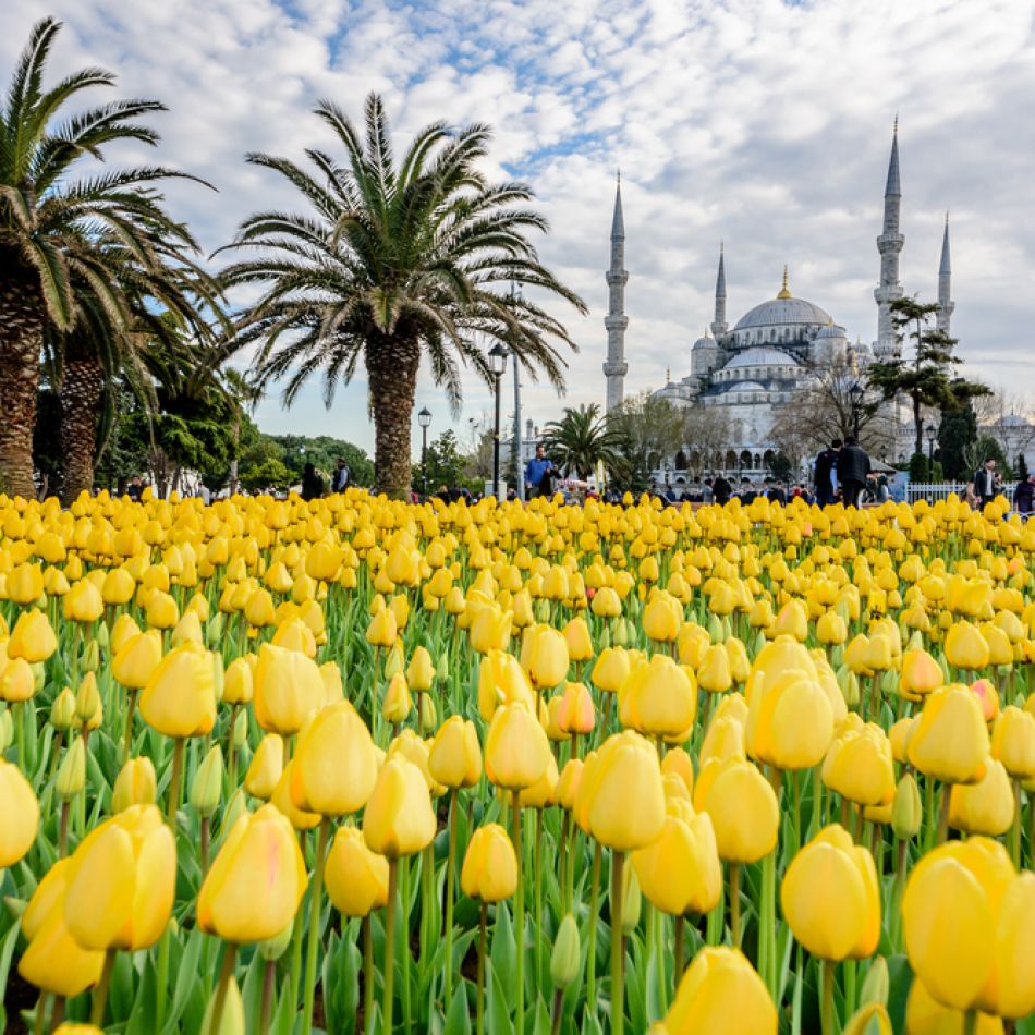 City break în Istanbul: Orașul de pe Bosfor are în continuare prețuri accesibile pentru turiști. Cât te costă un city break?