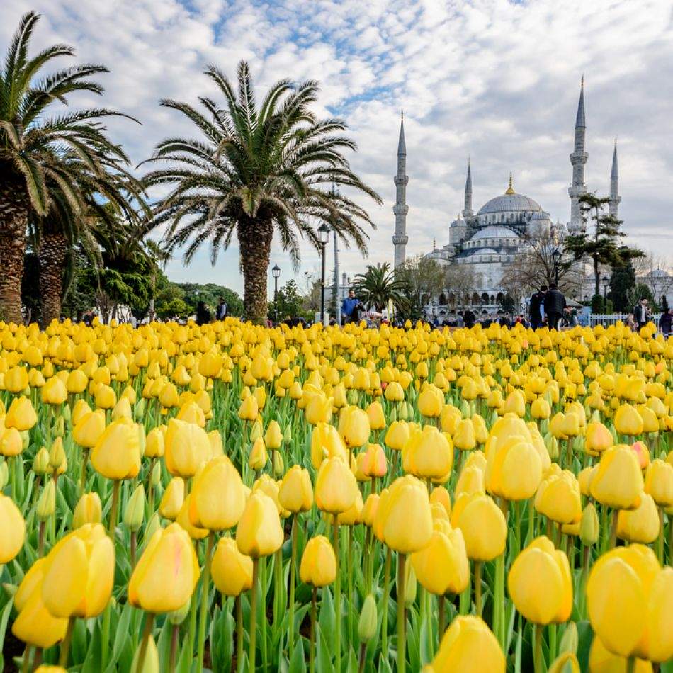 City break în Istanbul: Orașul de pe Bosfor are în continuare prețuri accesibile pentru turiști. Cât te costă un city break?