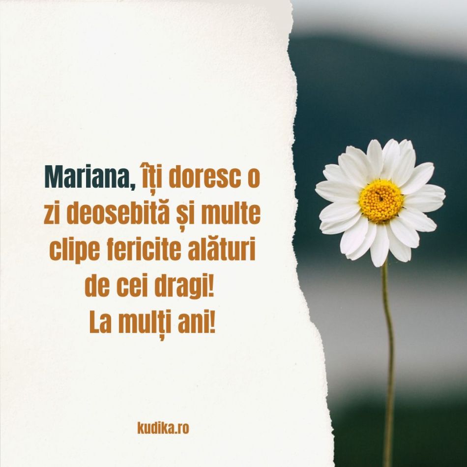 Adormirea Maicii Domnului (15 august) și Sf. Maria Mică (8 august). Când spunem La mulți ani? Diferențe și semnificații